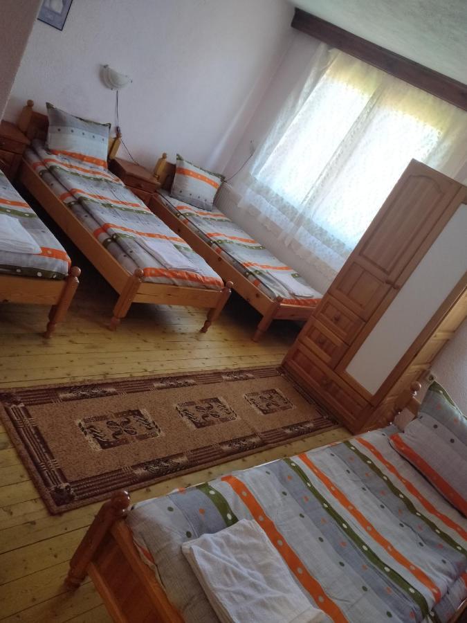 Стаи За Гости Дора Копривштица Номер фото