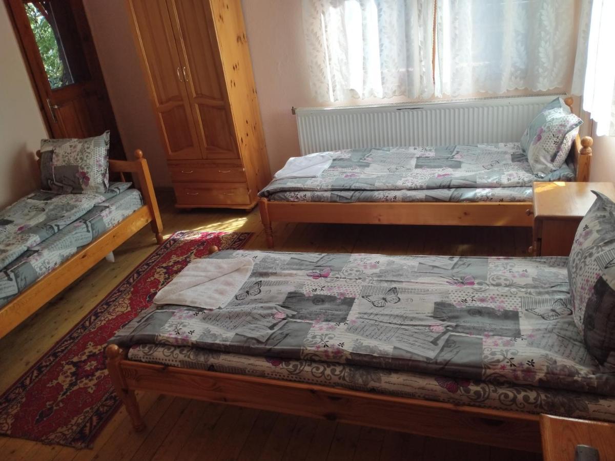 Стаи За Гости Дора Копривштица Номер фото