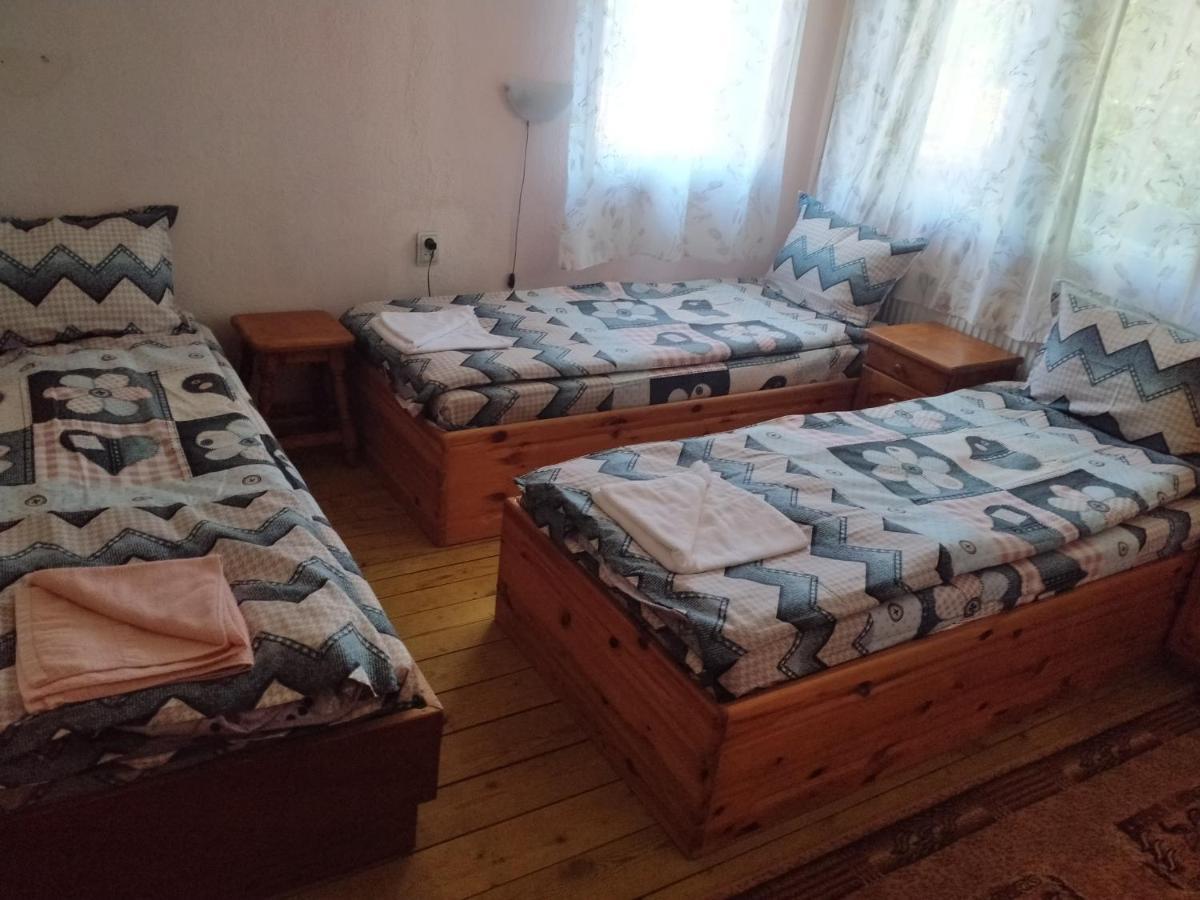 Стаи За Гости Дора Копривштица Номер фото