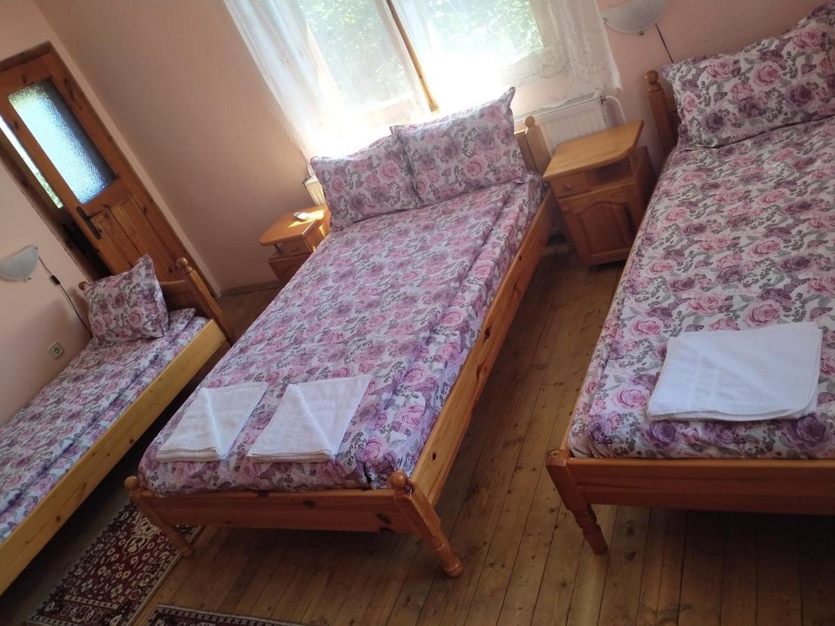 Стаи За Гости Дора Копривштица Номер фото